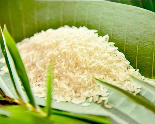 普通大米價格