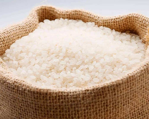 普通大米供應